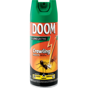 DOOM INSECTICIDE DEFEND 300ML